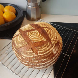 Round sourdough loaf